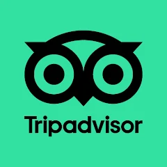 TripAdvisor app icon